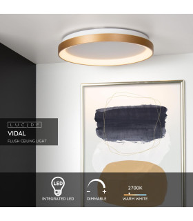 Vidal Modern Flush Ceiling Light-2