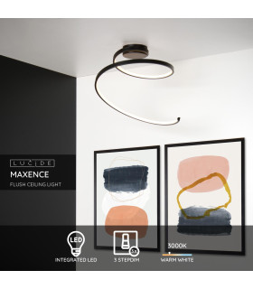 Maxence Modern Flush Ceiling Light-2