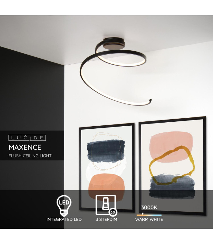 Maxence Modern Flush Ceiling Light-2