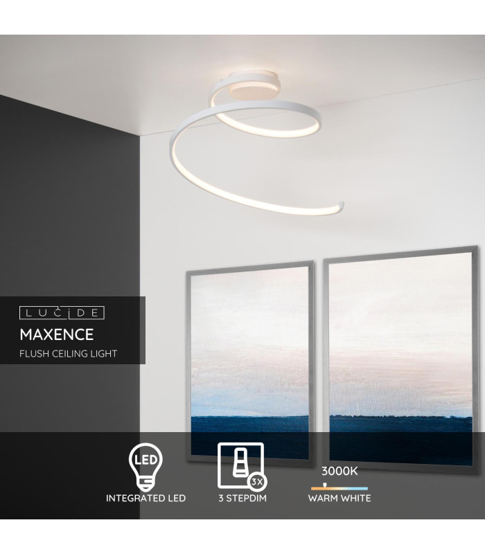 Maxence Modern Flush Ceiling Light-2