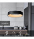 Talowe Led Modern Pendant Light-2
