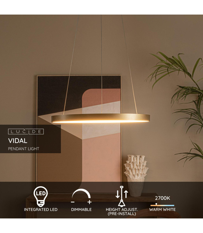 Vidal Modern Pendant Light-2