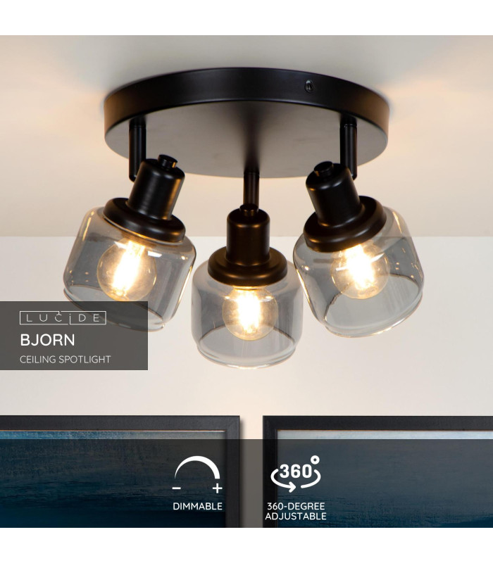 Bjorn Classic Ceiling Spotlight-3