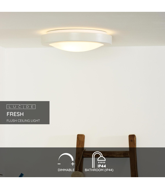 Fresh Modern Flush Ceiling Light Bathroom-2