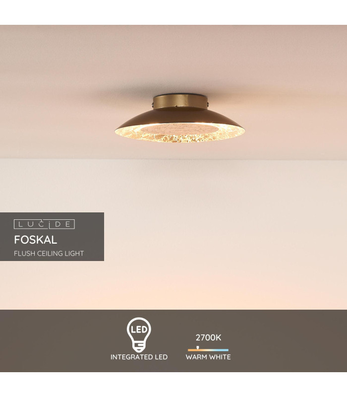 Foskal Modern Flush Ceiling Light-3