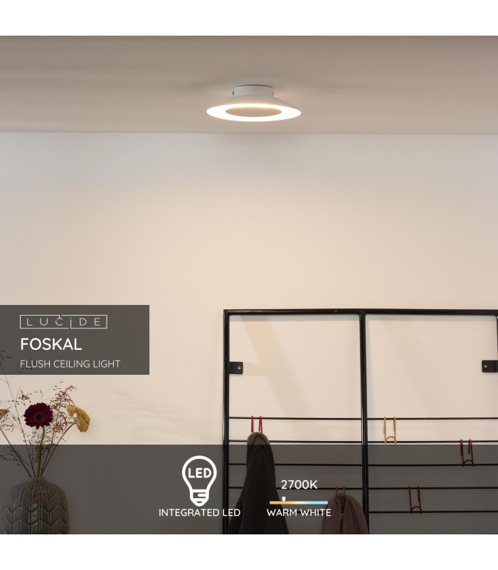 Foskal Modern Flush Ceiling Light-3