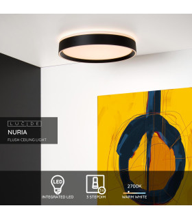 Nuria Modern Flush Ceiling Light-2