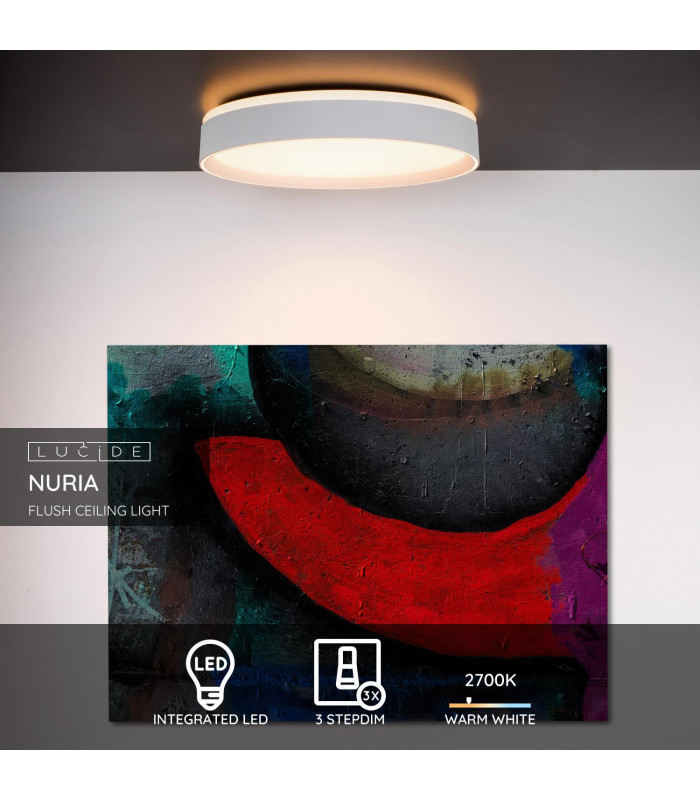 Nuria Modern Flush Ceiling Light-2