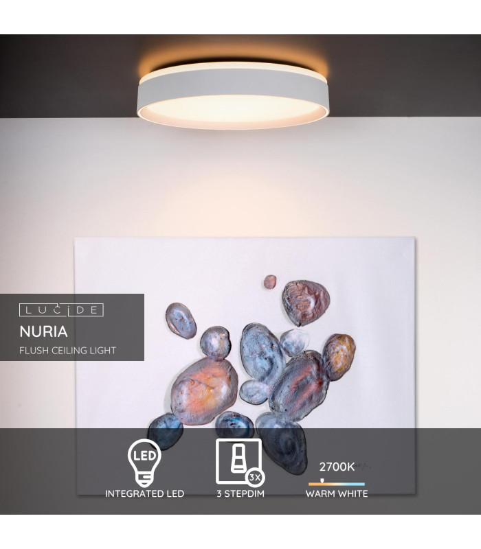 Nuria Modern Flush Ceiling Light-3