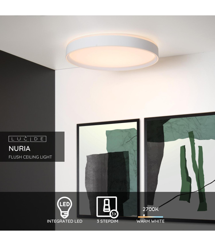 Nuria Modern Flush Ceiling Light-3