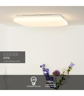 Otis Led Modern Flush Ceiling Light-2