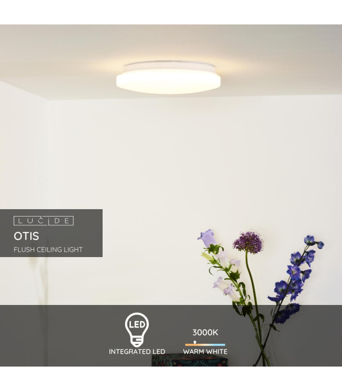 Otis Modern Flush Ceiling Light-3