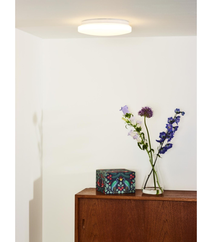 Otis Modern Flush Ceiling Light-4