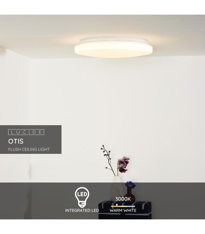 Otis Modern Flush Ceiling Light-2