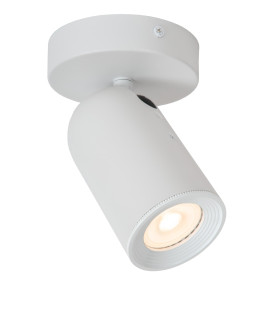 Punch Classic Wall spotlight-1