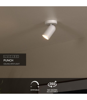 Punch Classic Wall spotlight-2