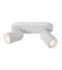 Punch Classic Ceiling spotlight-1