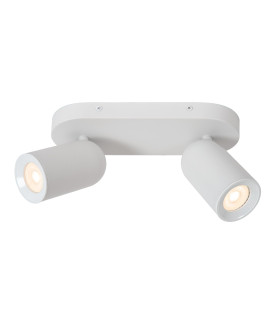 Punch Classic Ceiling spotlight-1