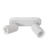 Punch Classic Ceiling spotlight-2