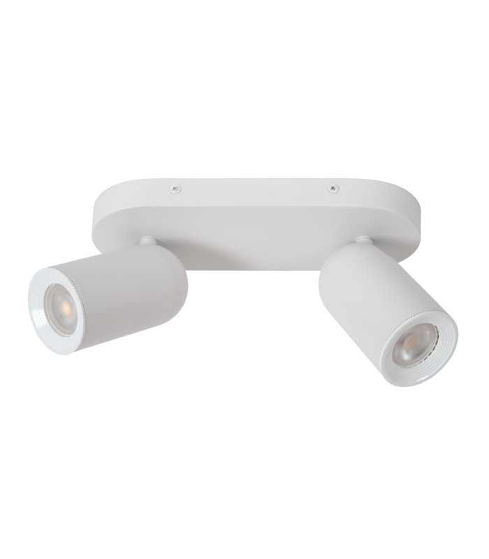 Punch Classic Ceiling spotlight-2