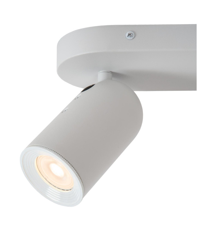 Punch Classic Ceiling spotlight-3
