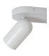 Punch Classic Ceiling spotlight-4
