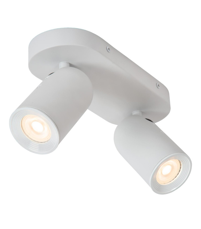 Punch Classic Ceiling spotlight-5