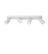 Punch Classic Ceiling spotlight-1