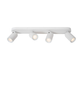 Punch Classic Ceiling spotlight-1