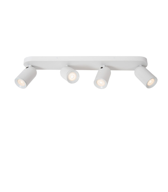 Punch Classic Ceiling spotlight-1