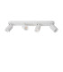 Punch Classic Ceiling spotlight-2