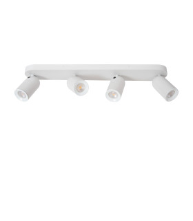 Punch Classic Ceiling spotlight-2