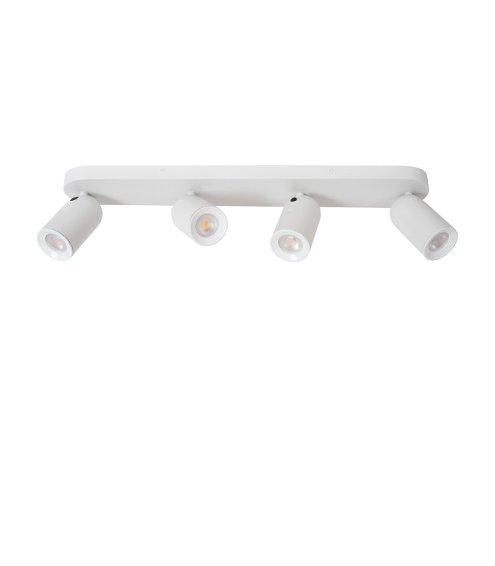 Punch Classic Ceiling spotlight-2