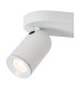 Punch Classic Ceiling spotlight-3