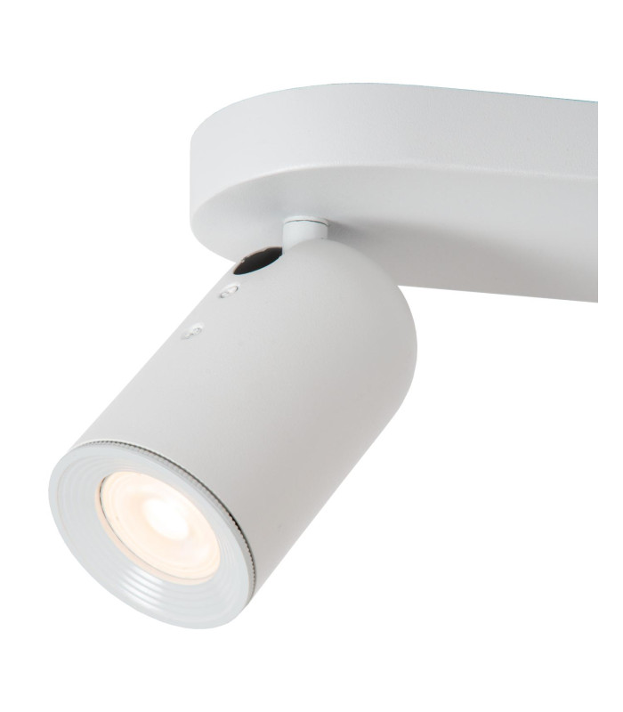 Punch Classic Ceiling spotlight-3