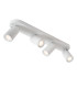 Punch Classic Ceiling spotlight-5