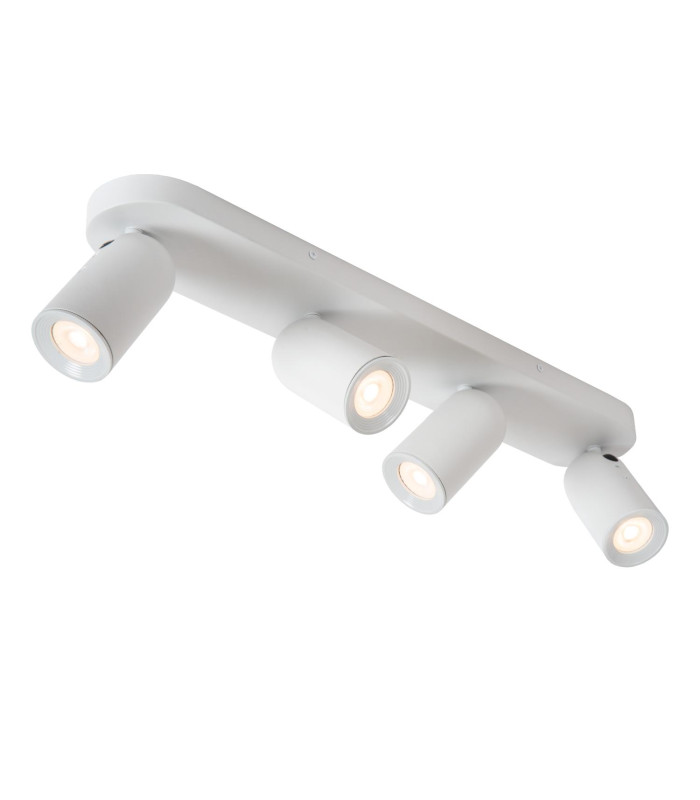 Punch Classic Ceiling spotlight-5