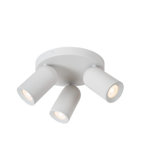Punch Classic Ceiling spotlight-1