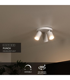 Punch Classic Ceiling spotlight-2