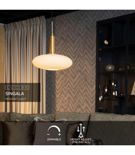 Singala Modern Pendant light-2