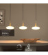 Singala Modern Pendant light-2
