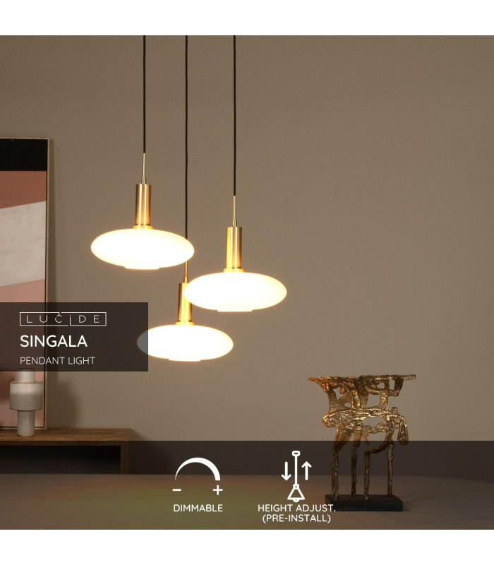 Singala Modern Pendant light-2