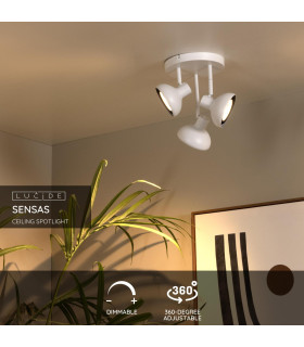 Sensas Modern Ceiling spotlight-2