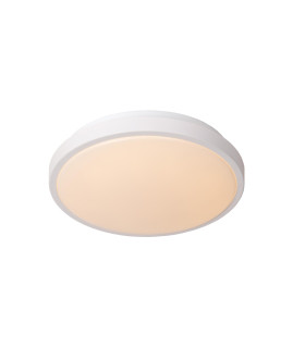 Dasher Modern Flush ceiling light Bathroom-1