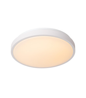 Dasher Modern Flush ceiling light Bathroom-1