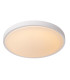 Dasher Modern Flush ceiling light Bathroom-1