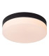 Biskit Modern Flush ceiling light Bathroom-1