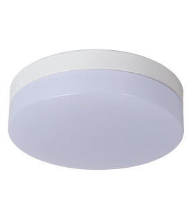 Biskit Modern Flush ceiling light Bathroom-2