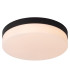 Biskit Modern Flush ceiling light Bathroom-1