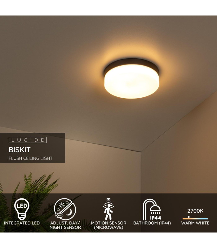 Biskit Modern Flush ceiling light Bathroom-3